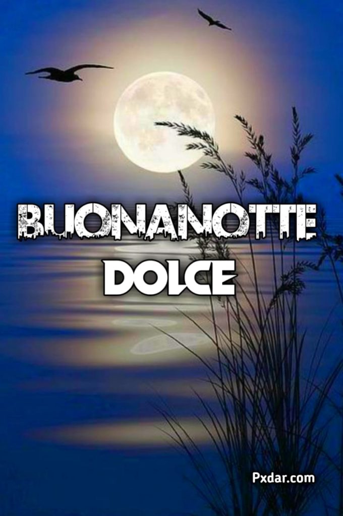 Buonanotte Speciale