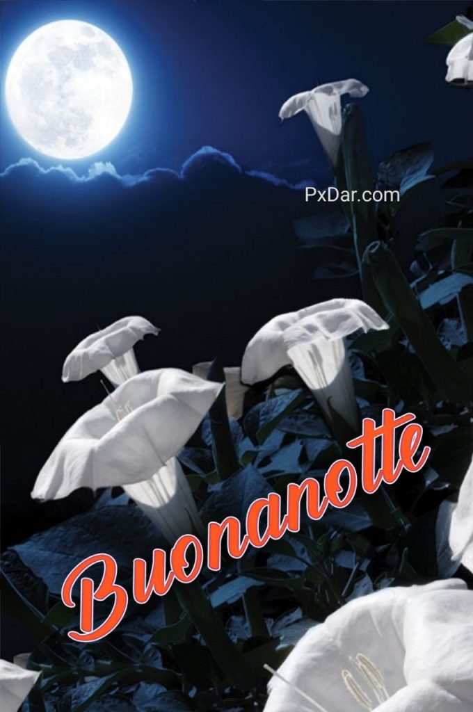 Buonanotte Speciale Immagini Nuove