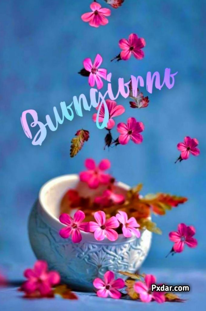 Buongiorno 2024 Immagini Gratis