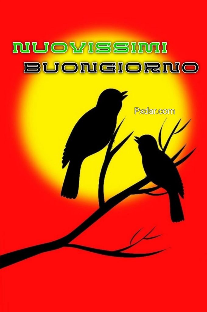 Buongiorno 2024 Immagini Nuove Gratis