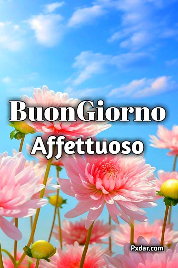 Buongiorno Affettuosi