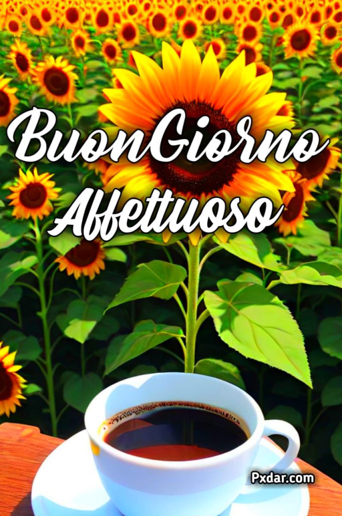 Buongiorno Affettuoso Amica