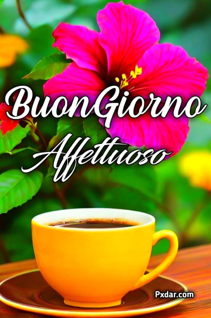 Buongiorno Affettuoso E Simpatico