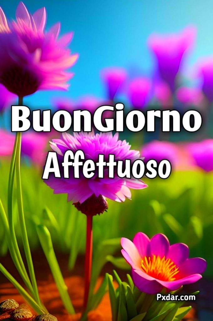 Buongiorno Affettuoso Gif