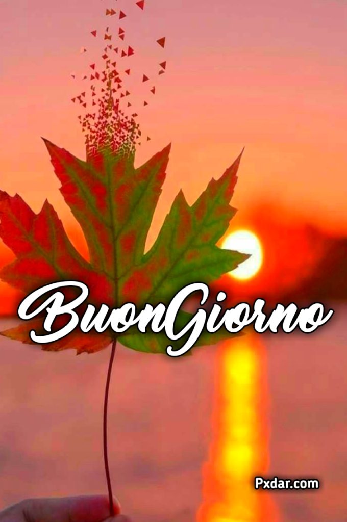 Buongiorno Autunnale 2024