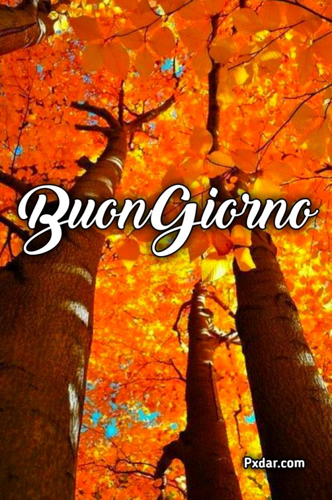 Buongiorno Autunnale 2024 Immagini Nuove