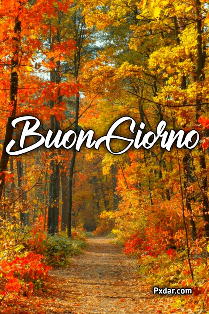 Buongiorno Autunnale Immagini Nuove Gratis Per Whatsapp