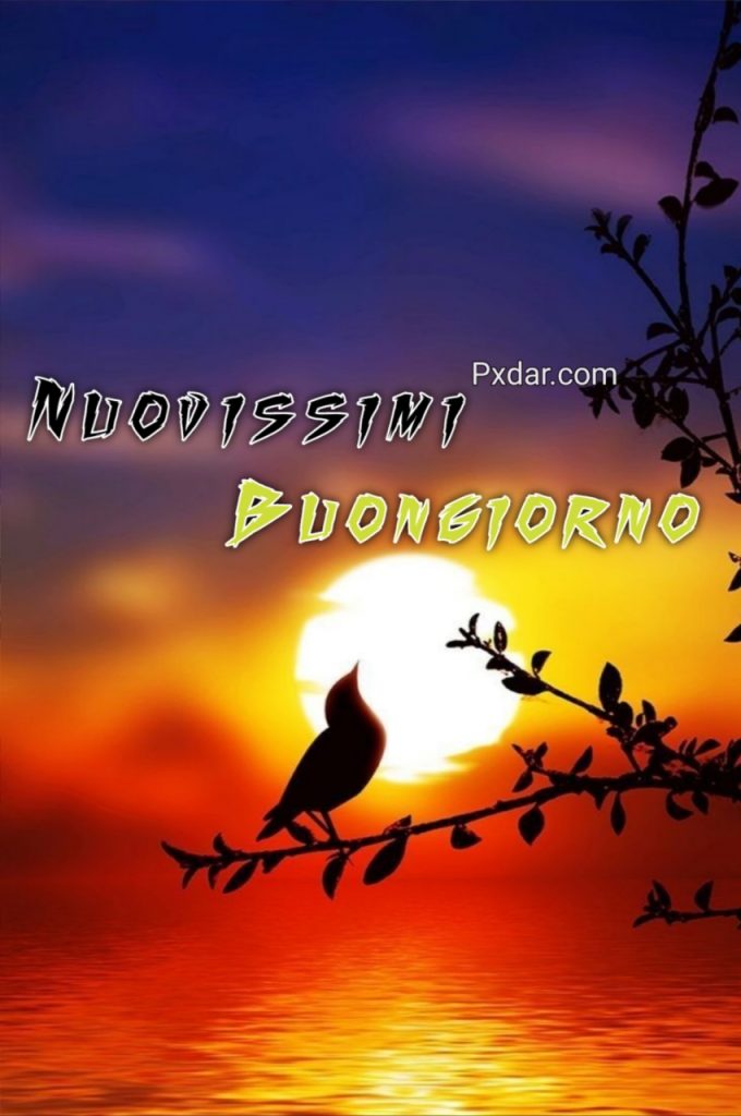 Buongiorno Autunno 2024 Immagini Nuove