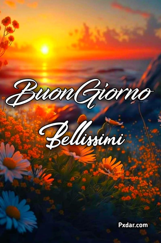 Buongiorno Bellissimi