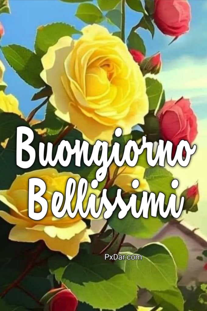 Buongiorno Bellissimi Immagini