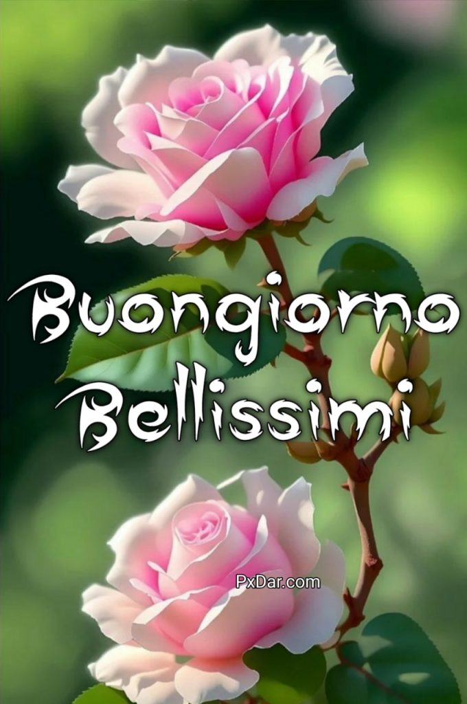 Buongiorno Bellissimi Nuovi