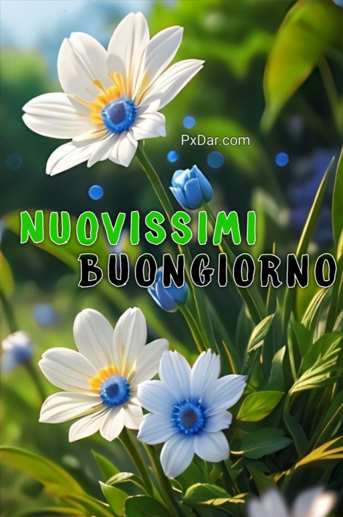 Buongiorno Bellissimi Nuovi