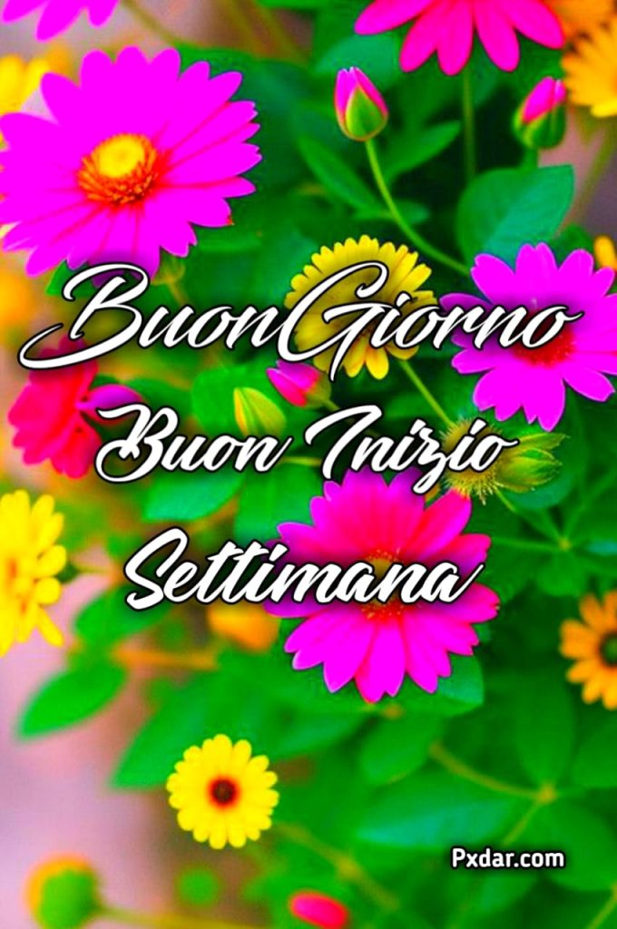 Buongiorno Buon Lunedì