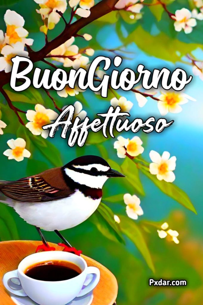 Buongiorno Buon Lunedì Buon Inizio Settimana