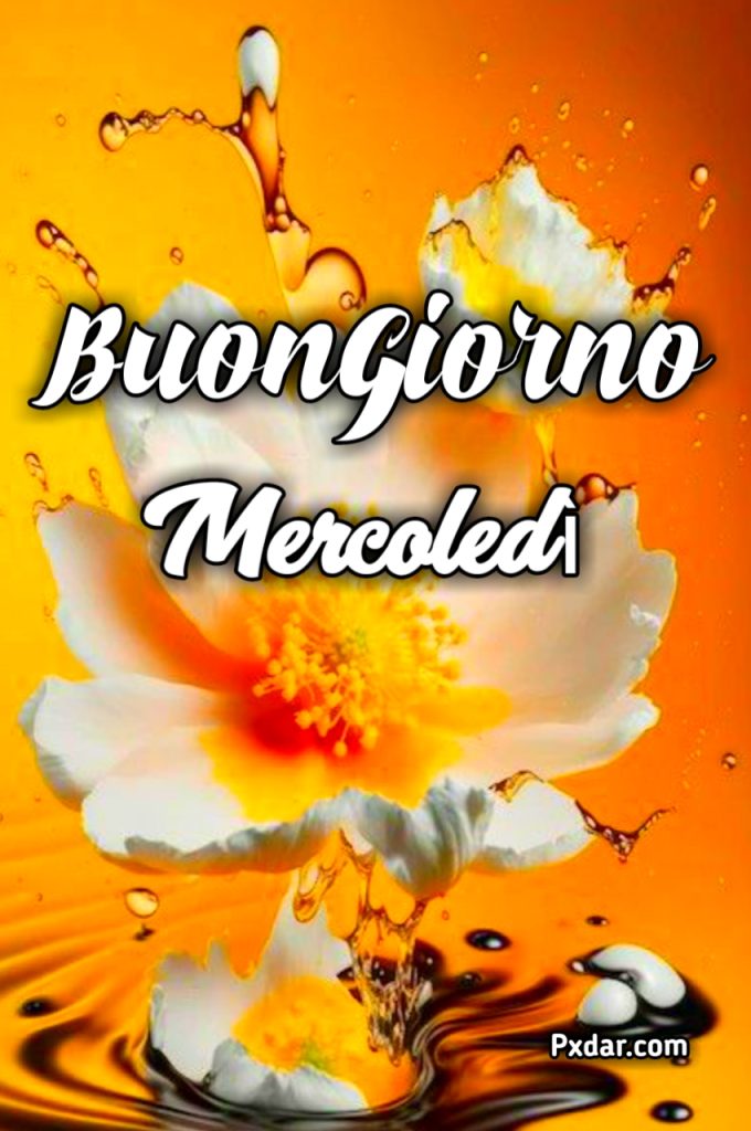 Buongiorno Buon Mercoledi 2024