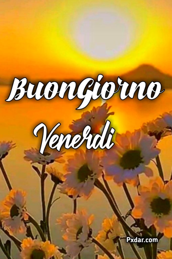 Buongiorno Buon Venerdì Immagini Nuove 2024