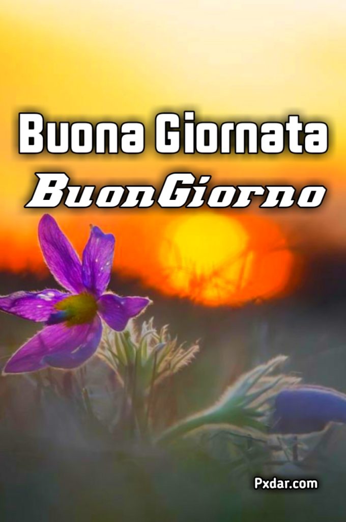 Buongiorno Buona Giornata Gif