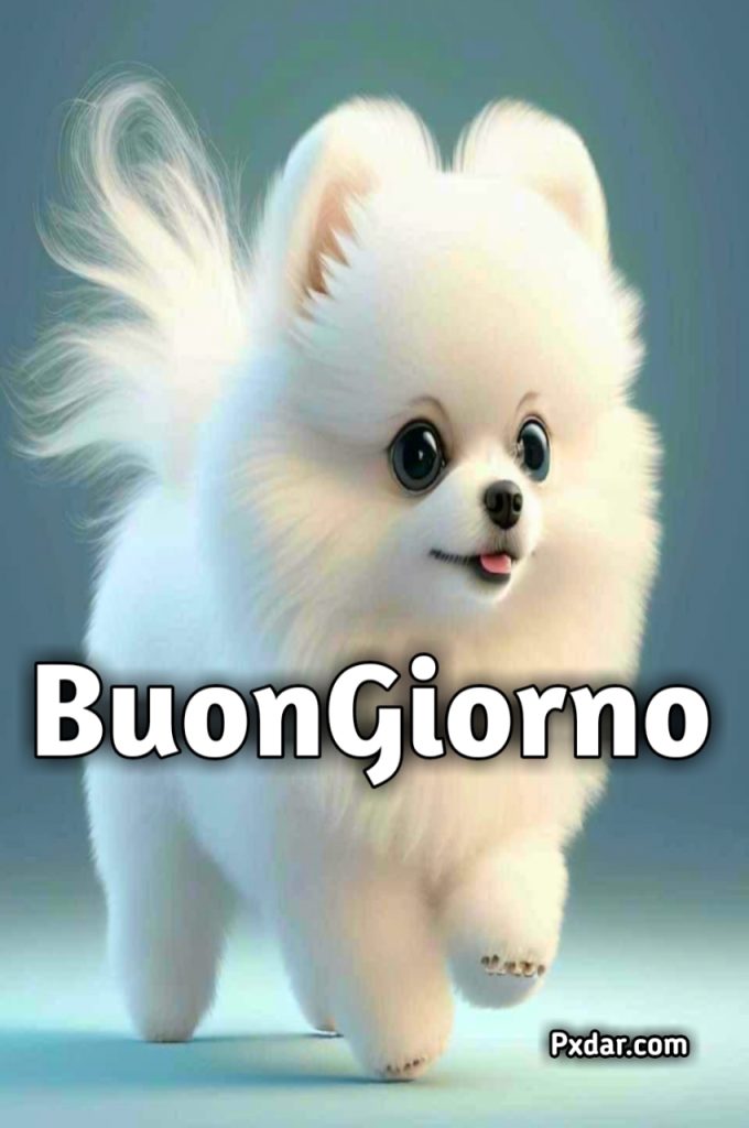 Buongiorno Con Cani