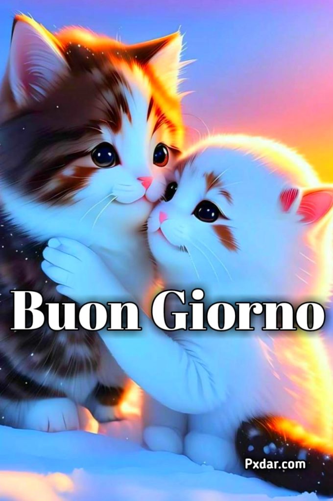 Buongiorno Con Gatti Divertenti Gif