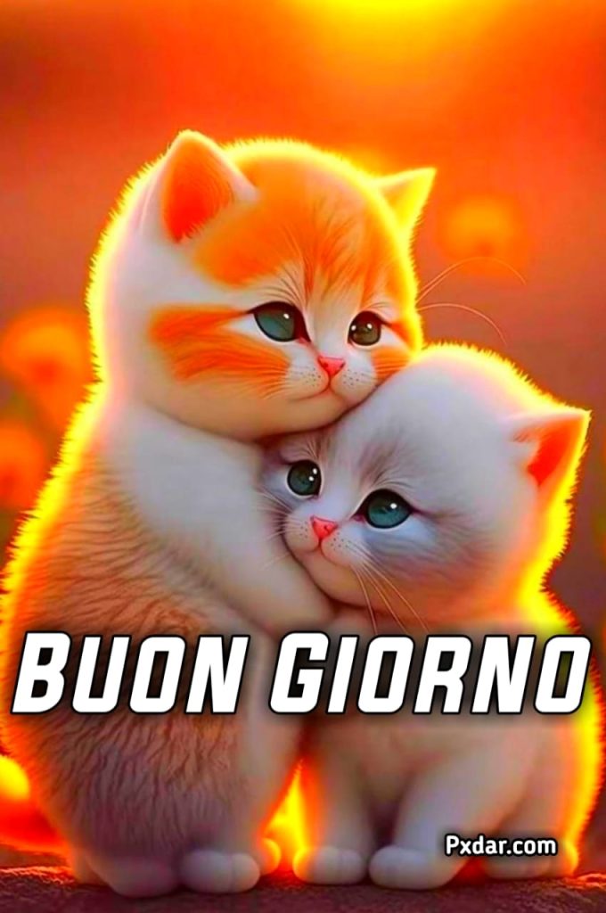 Buongiorno Con Gatto