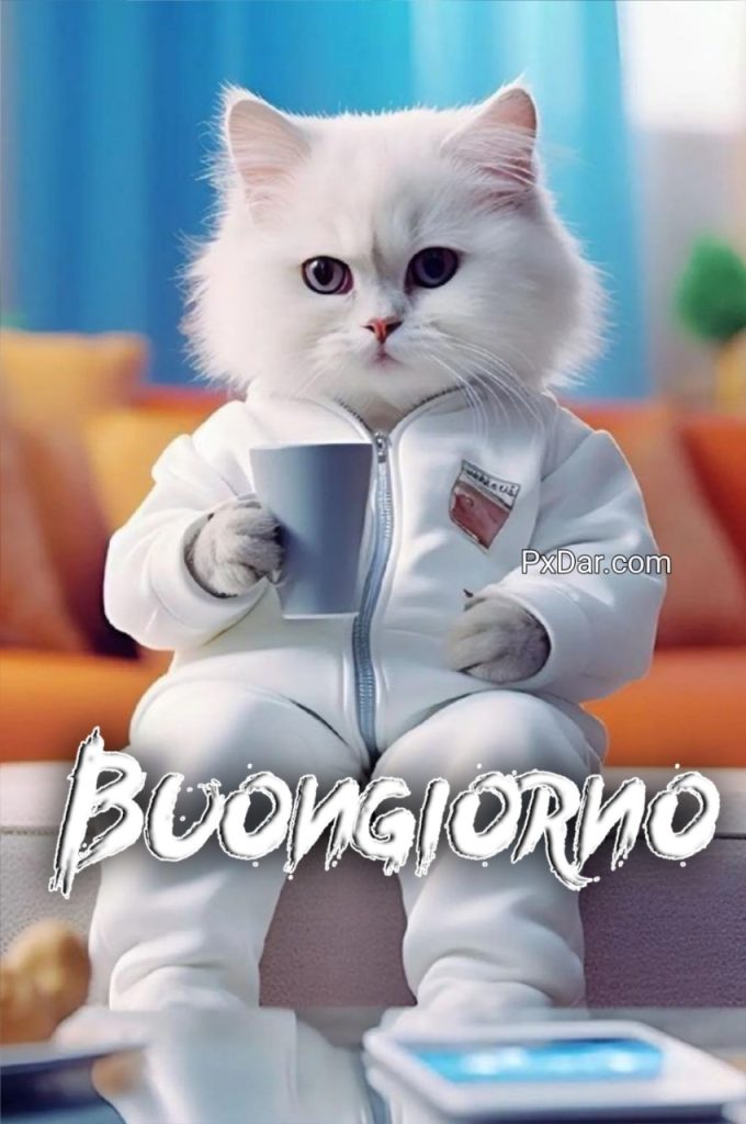 Buongiorno Divertenti Immagini