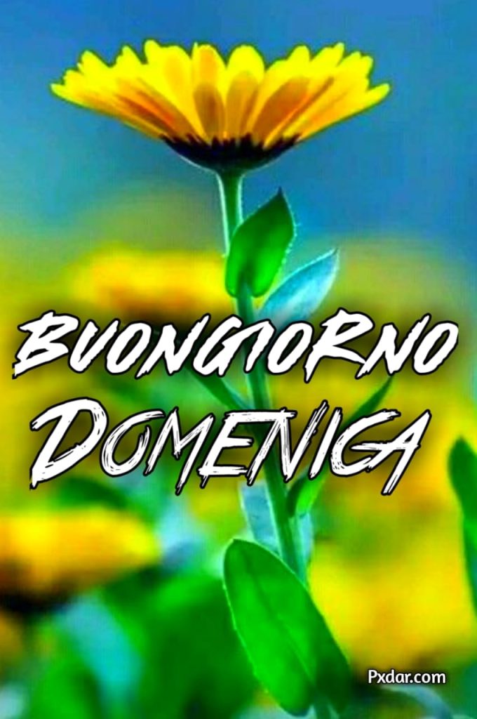 Buongiorno Domenica Immagini Nuove