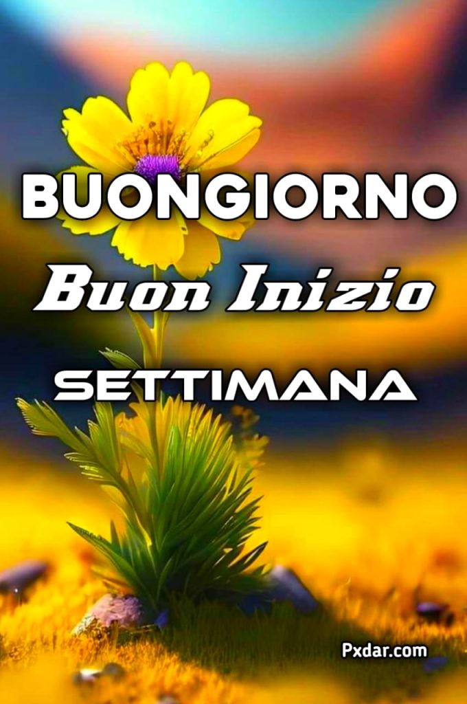 Buongiorno E Buon Inizio Settimana Immagini