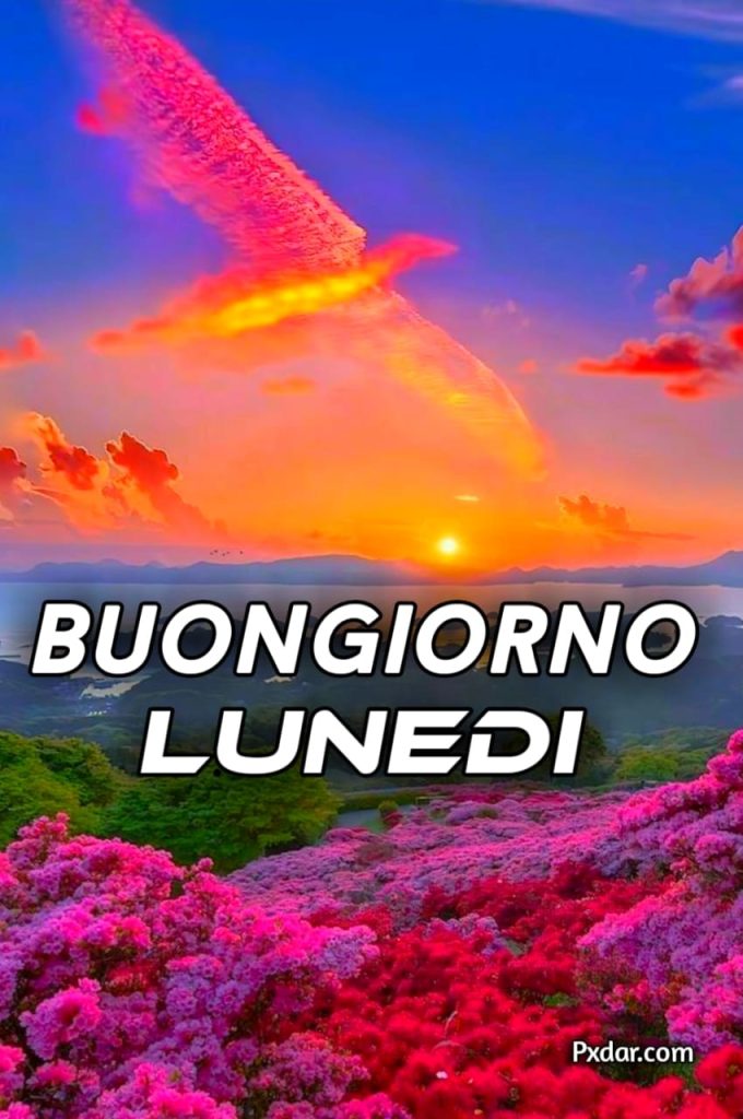 Buongiorno E Buon Lunedì