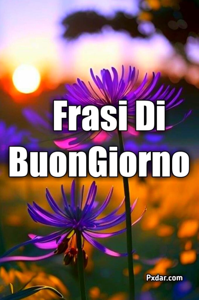 Buongiorno Frasi Nuove 2024