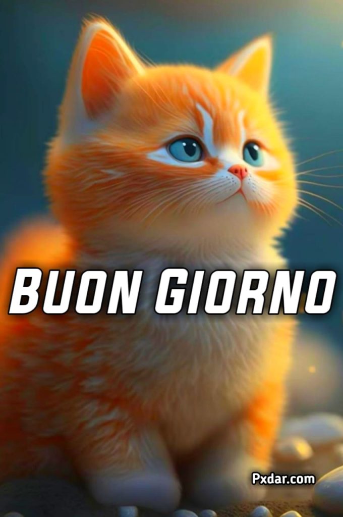 Buongiorno Gatti