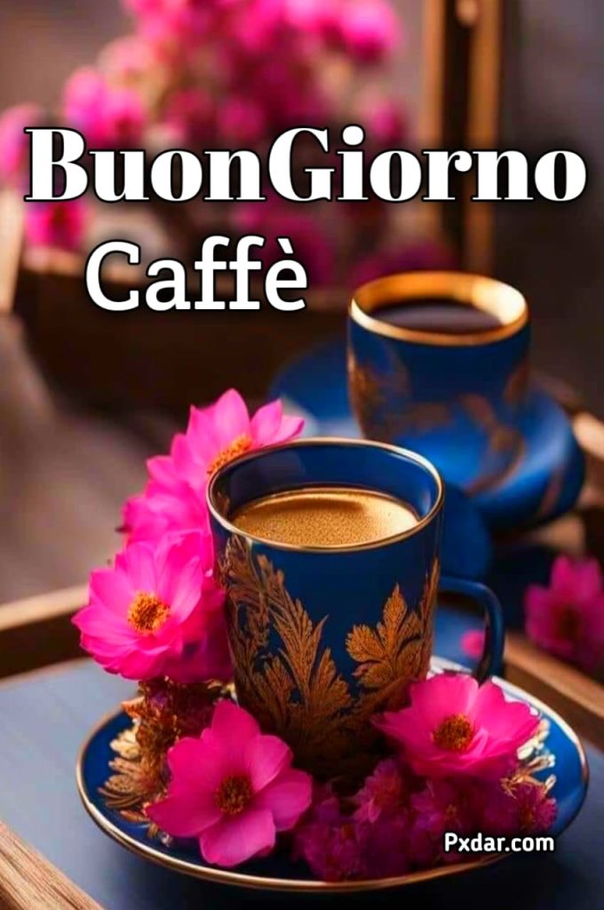 Buongiorno Gatti Caffè