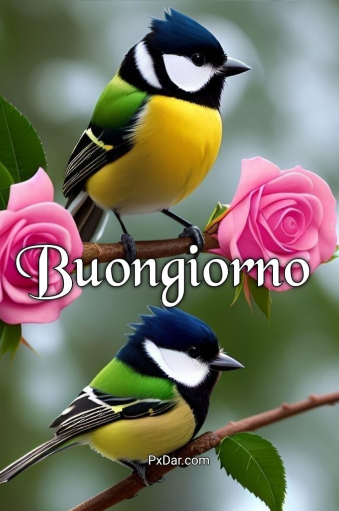 Buongiorno Gif Nuove