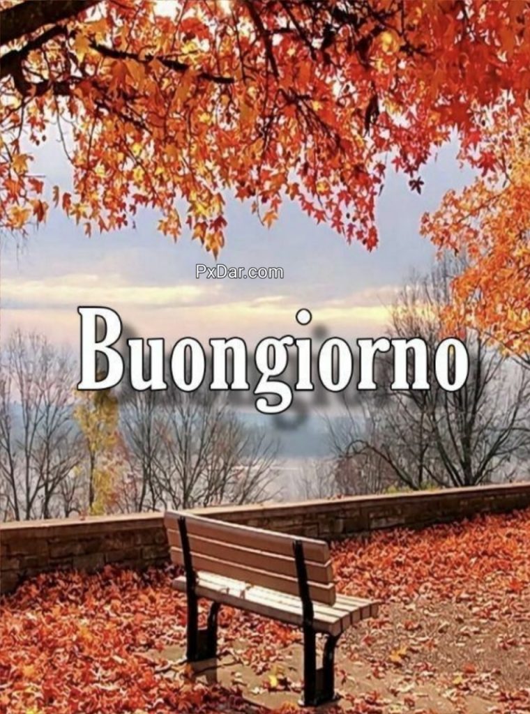 Buongiorno Gif Whatsapp