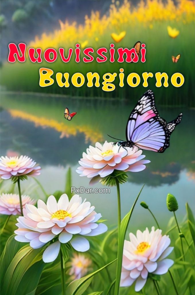 Buongiorno Immagini Nuove Bellissime