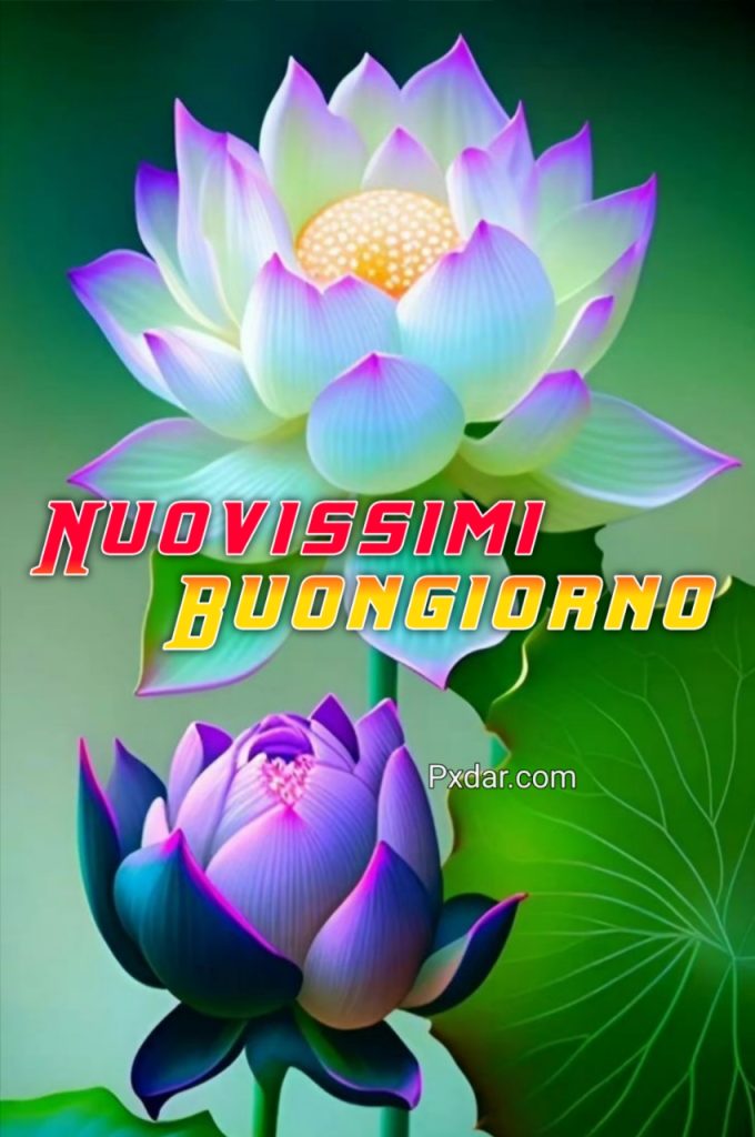 Buongiorno Immagini Nuove Gratis