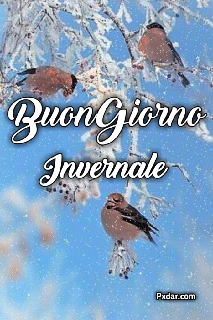 Buongiorno Invernale