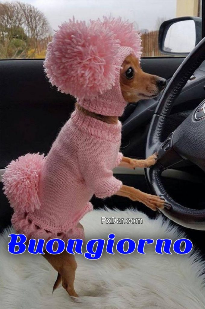 Buongiorno Invernale Divertente