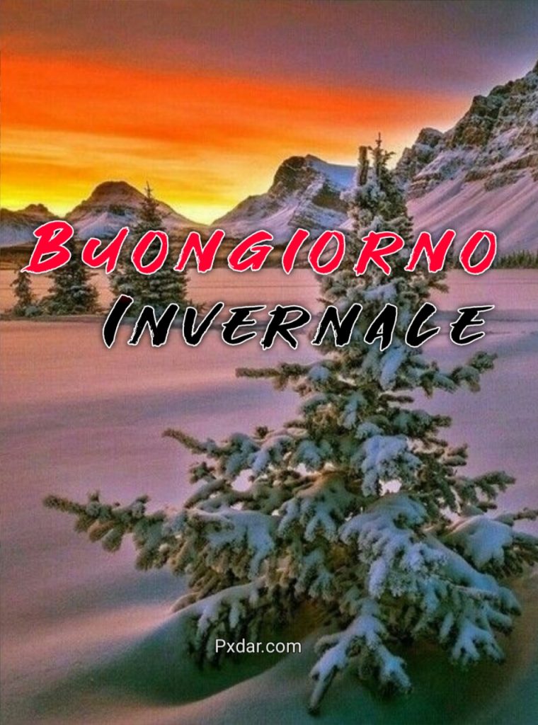 Buongiorno Invernale Immagini Nuove