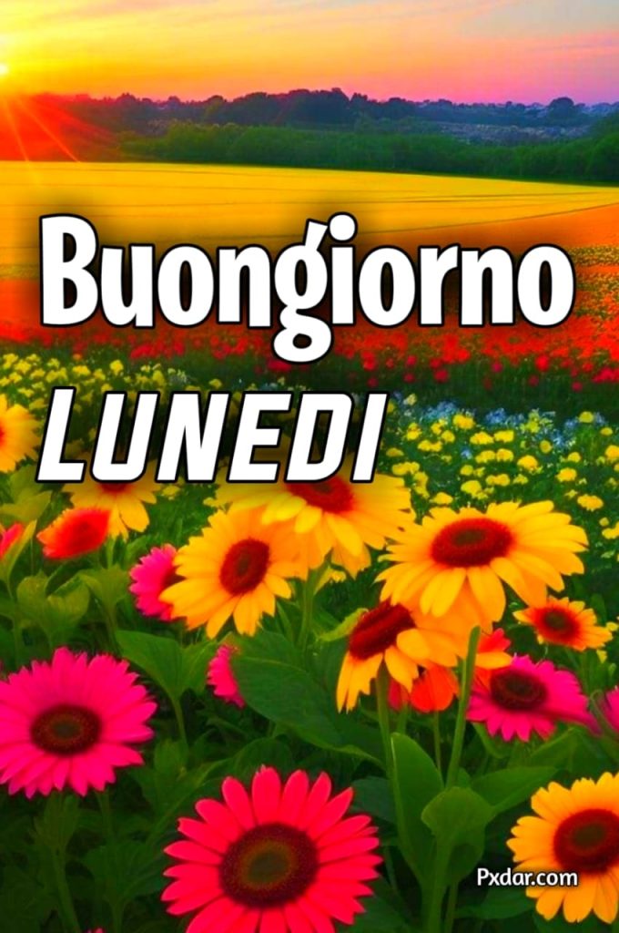 Buongiorno Lunedì Immagini