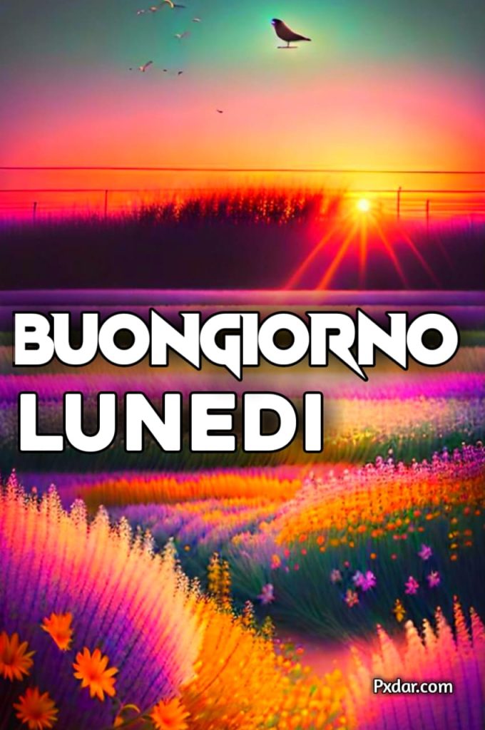 Buongiorno Lunedi Immagini Nuove 2024