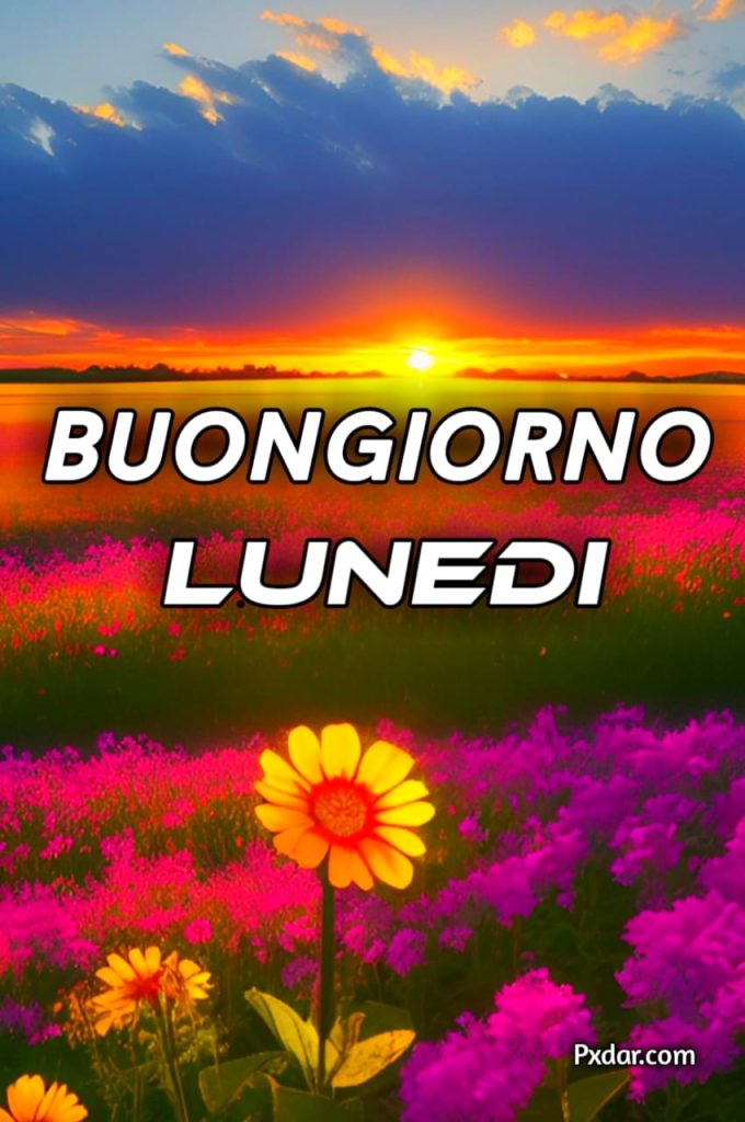 Buongiorno Lunedì Inizio Settimana