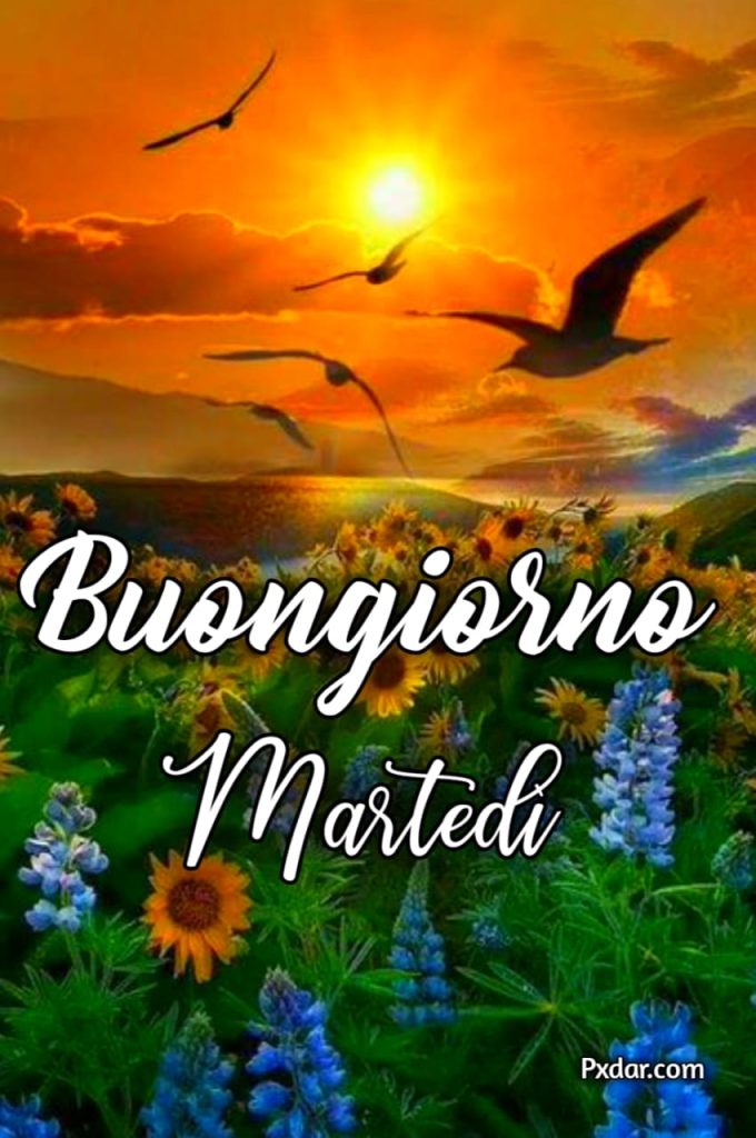 Buongiorno Martedì Divertente