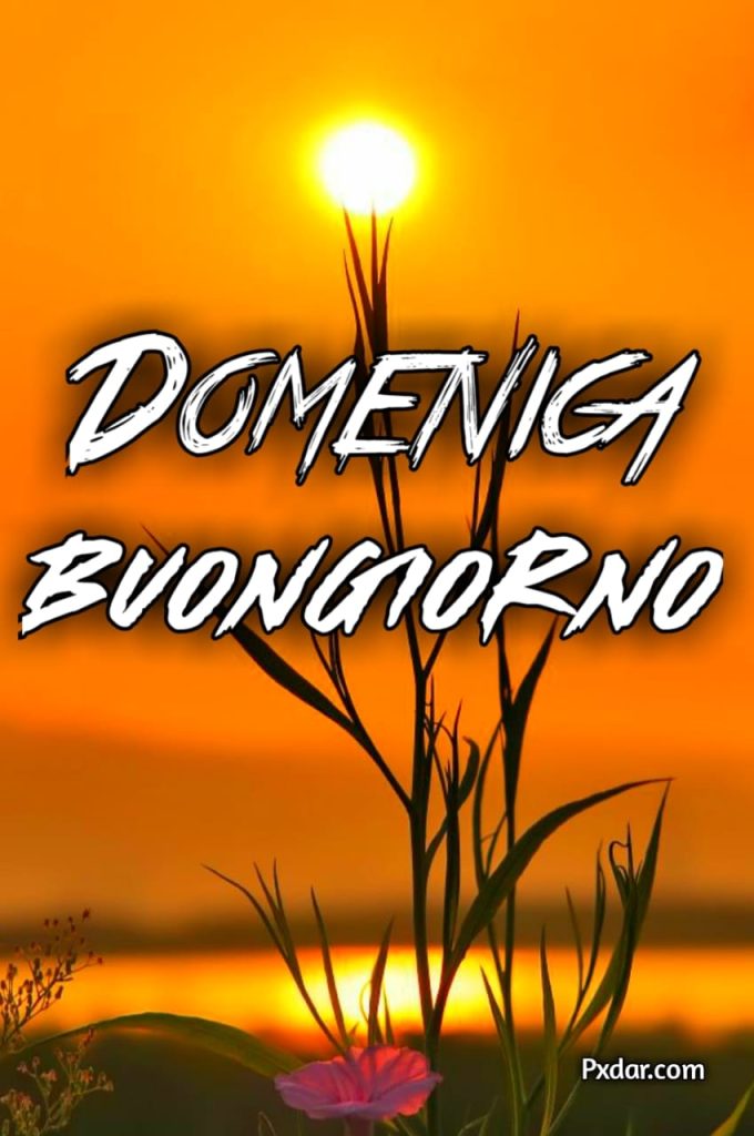 Buongiorno Nuovissimi 2024 Domenica