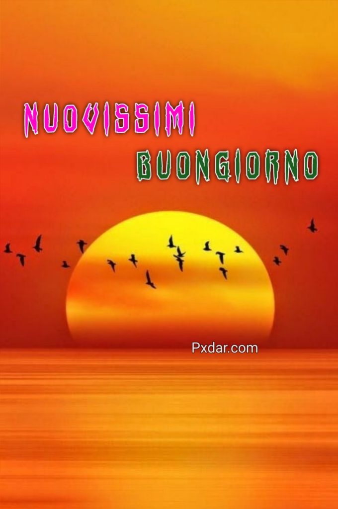 Buongiorno Nuovissimi Autunnali