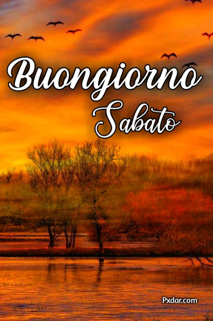 Buongiorno Sabato 18 Novembre Immagini