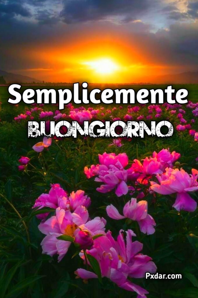 Buongiorno Semplicemente