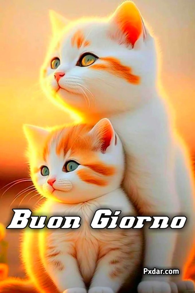 Buongiorno Spiritoso