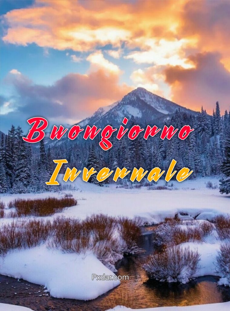 Caffe Buongiorno Invernale