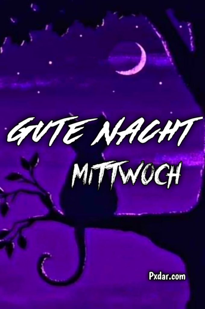 Der Mittwoch Ist Fast Weg Gute Nacht Gifs