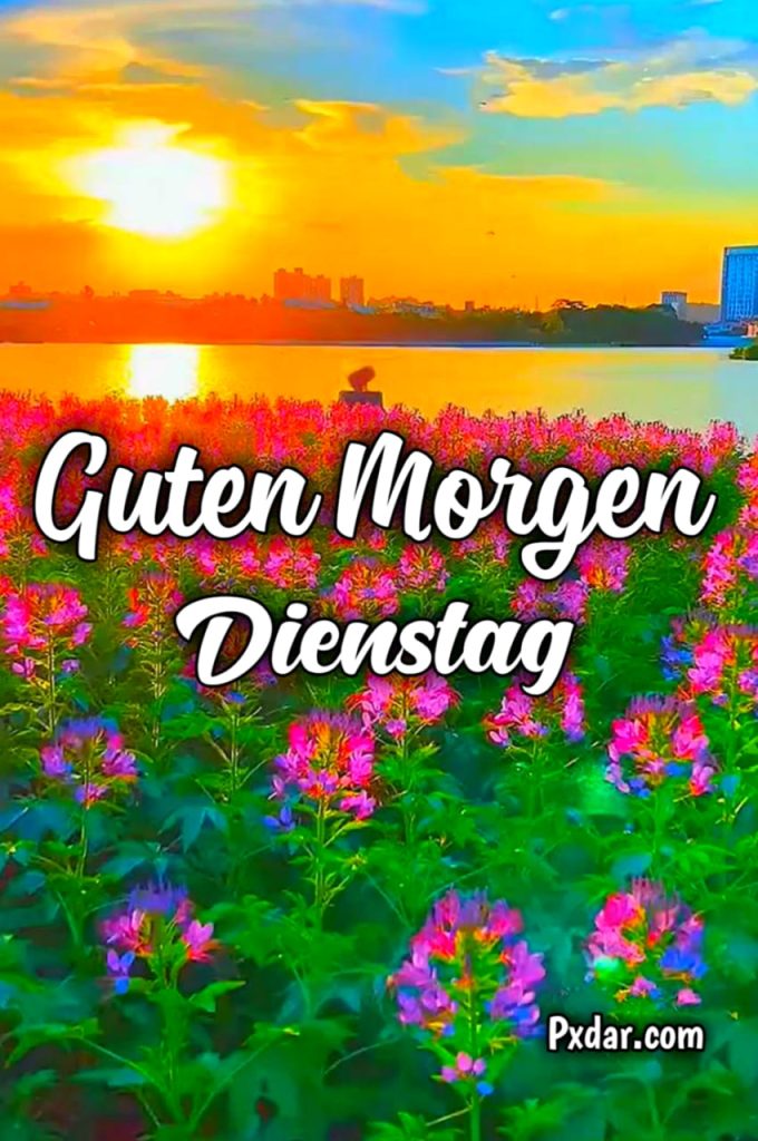 Dienstag Guten Morgen Gif